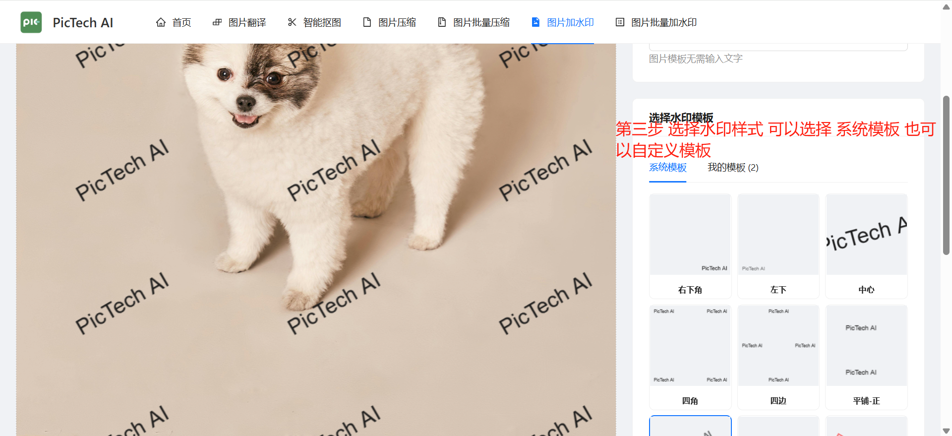 第三步：调整水印样式，如透明度和位置